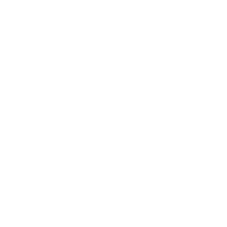How to use Scriptchess